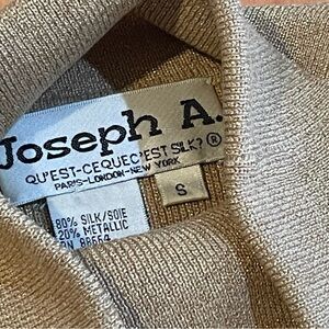 Silk Gold Metallic Sleeveless Turtleneck